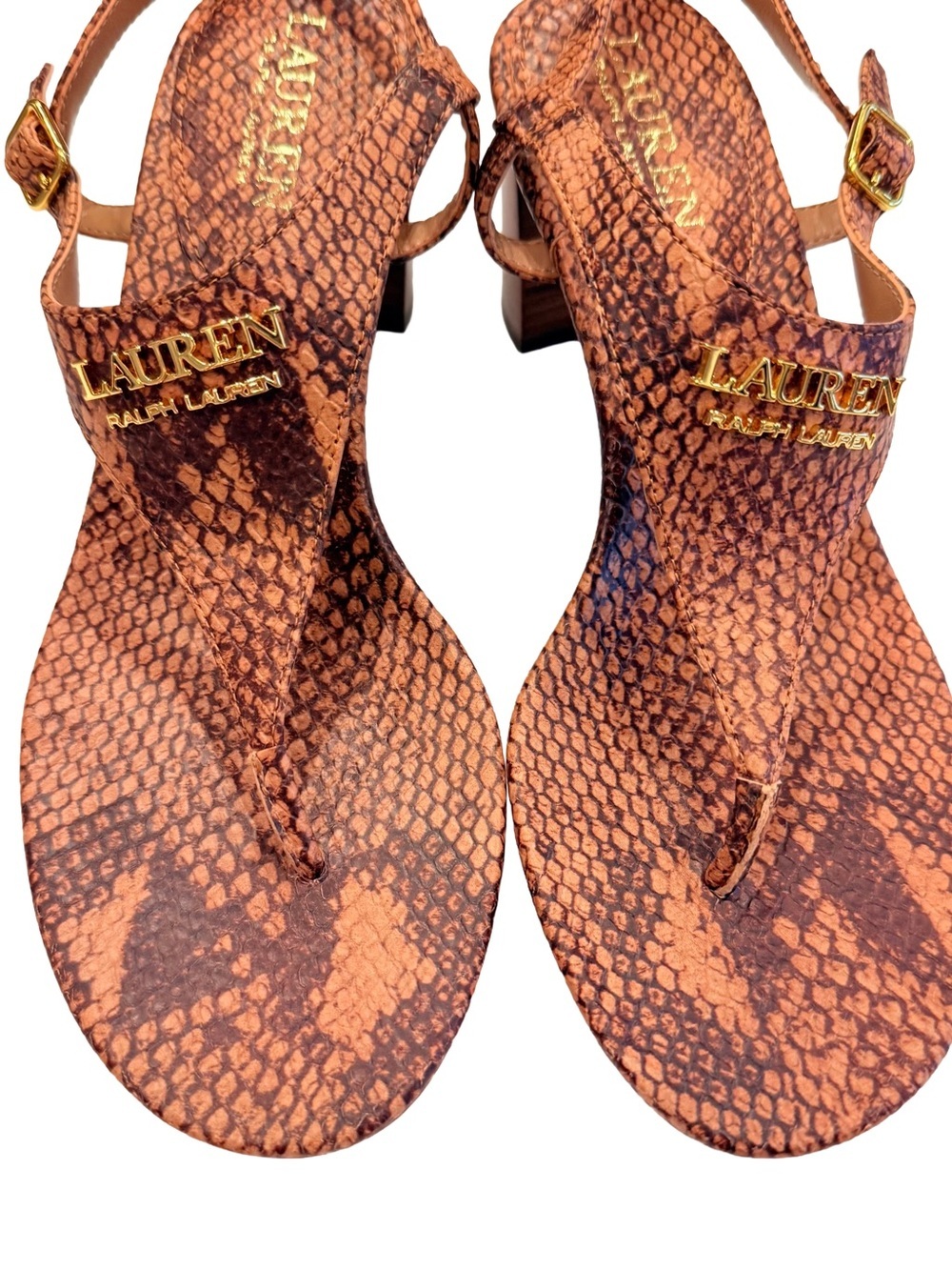 Lauren Ralph Lauren Westcott Sandals Brown Snakeskin Block Heel Sz 6 NEW